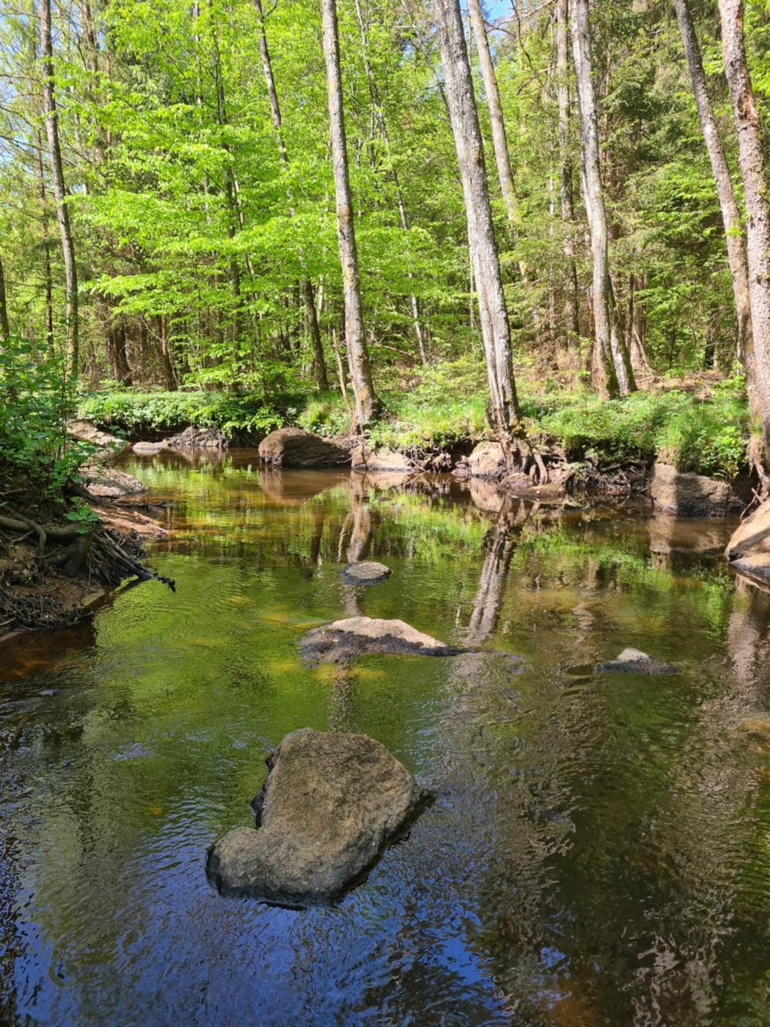 Bysmedjan Villa Hassleholm Bagian luar foto